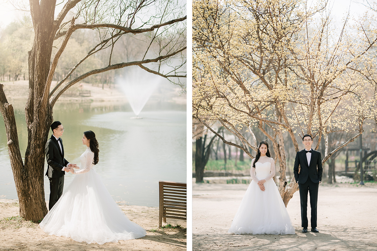 City in Bloom: Romantic Pre-Wedding Photoshoot Amidst Seoul's Blossoming Beauty by Jungyeol on OneThreeOneFour 8