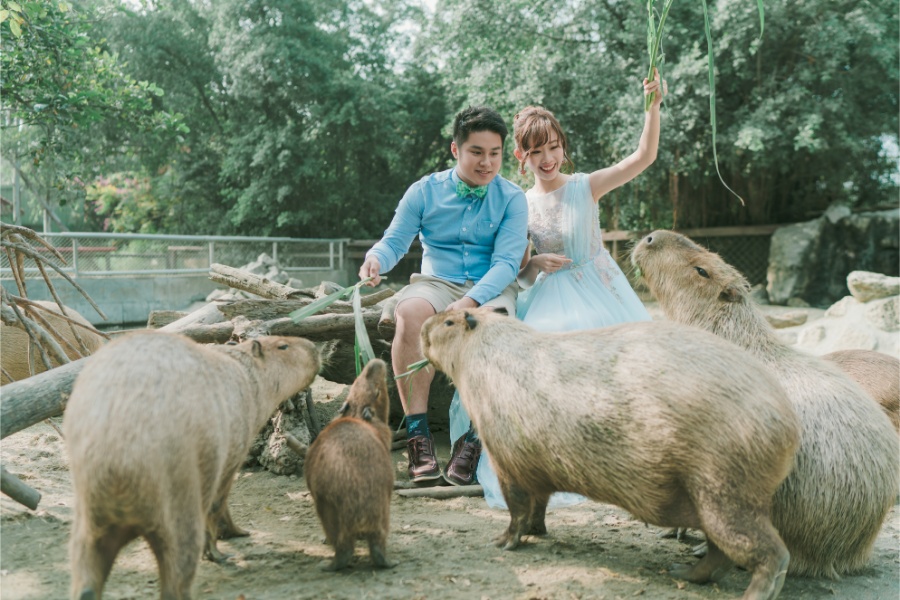 Taiwan Cheng Xi Beach and Tainan Zoo Prewedding Photoshoot by Star on OneThreeOneFour 2