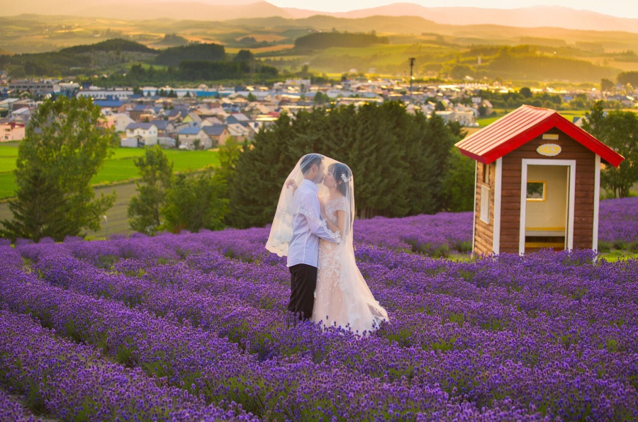 Hokkaido Furano Summer Pre-Wedding Photoshoot At Tomita Lavender Farm by Wu on OneThreeOneFour 1