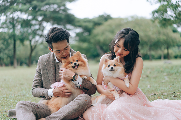 singapore wedding photoshoot bishan park with dogs