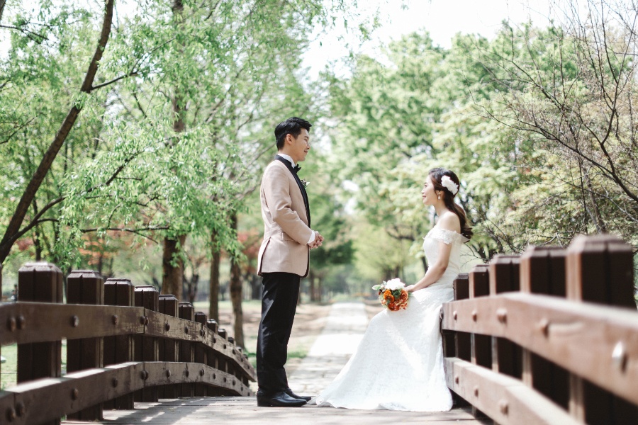 V&C: Hongkong Couple's Korea Pre-wedding Photoshoot at Kyung Hee University and Seoul Forest in Tulips Season by Beomsoo on OneThreeOneFour 15