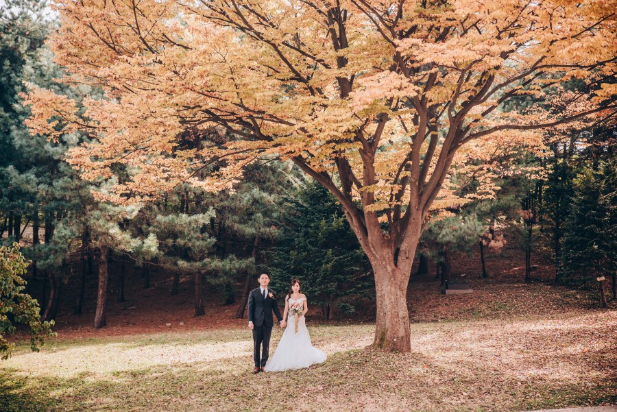 C&S: Korea Autumn Pre-Wedding at Hanuel Park with Pink Muhly Grass by Jongjin on OneThreeOneFour 12