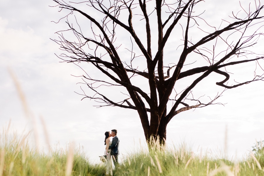 L&Y: Singapore Pre-wedding Photoshoot at Jurong Lake Gardens, Colonial Houses, and IKEA by Cheng on OneThreeOneFour 8
