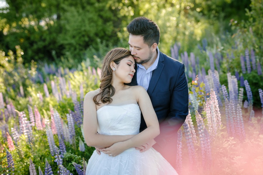 K&M: Dreamy pre-wedding in New Zealand at Coromandel Peak and alpaca farm during Lupin season  by Fei on OneThreeOneFour 12