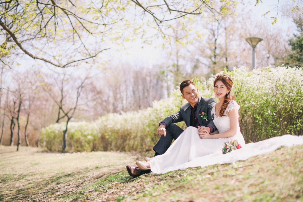 Korea Cherry Blossom Pre-Wedding Photoshoot At Seoul Forest  by Beomsoo on OneThreeOneFour 2