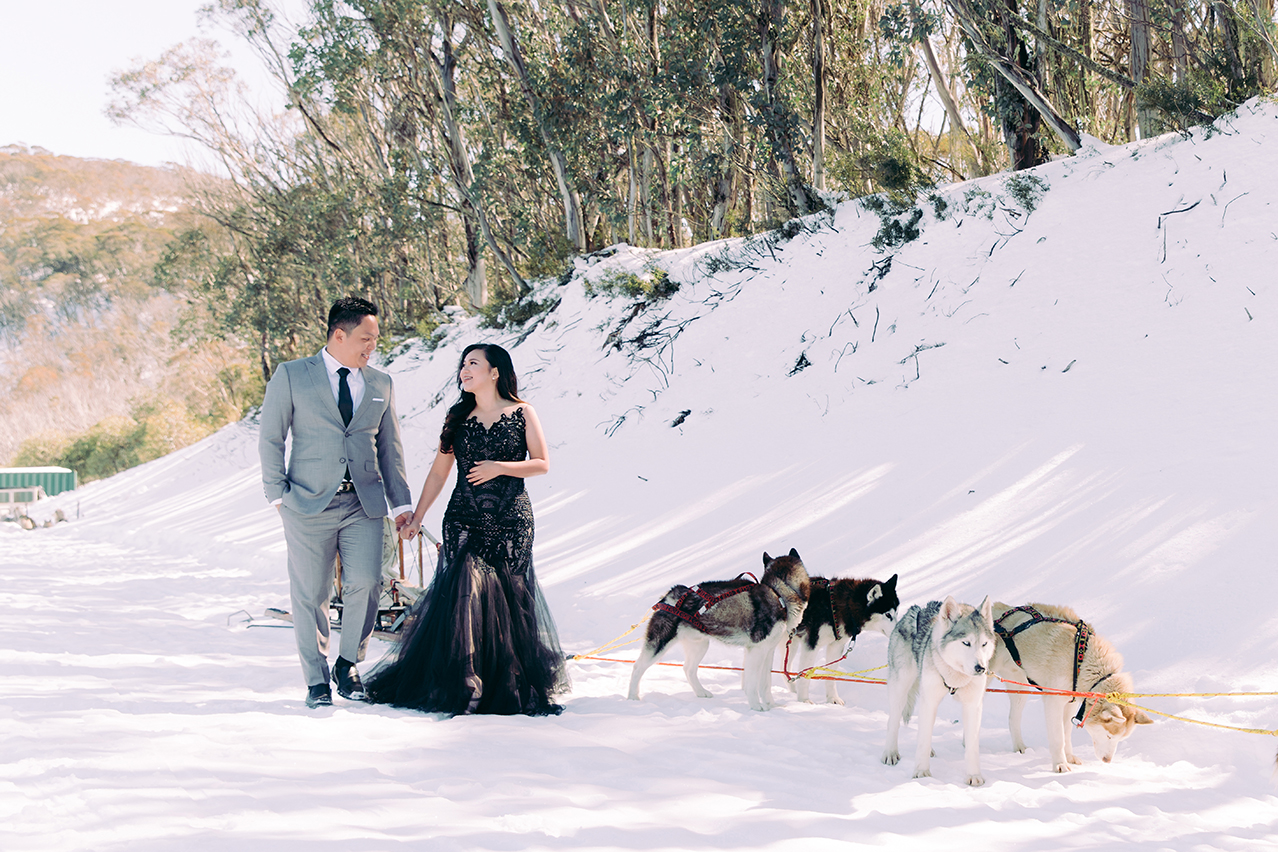 Winter Pre-Wedding Photoshoot with Huskies in Melbourne  by Freddie on OneThreeOneFour 1