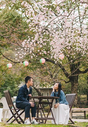 M&A: Casual shoot under blooming sakura (cherry blossoms)