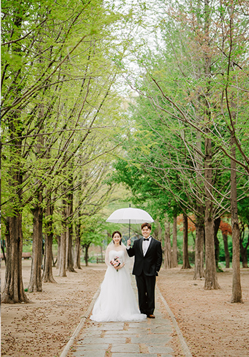 Rainy Romance: Love Blossoms in Seoul: Cally & Shaun's Enchanting Spring Pre-Wedding Shoot