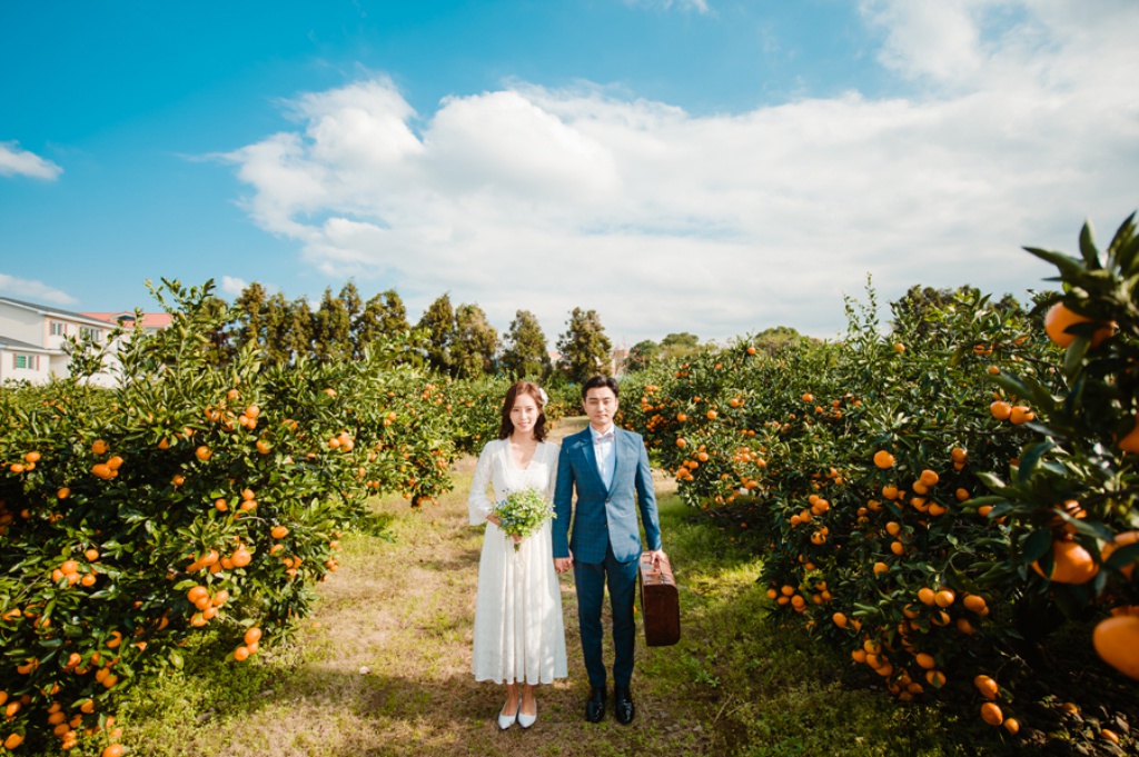 Korea Jeju Island Outdoor Pre-Wedding Photoshoot At Tangerine Farm  by Ray  on OneThreeOneFour 10
