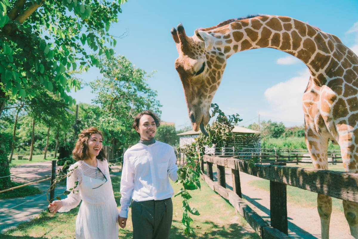 Taiwan Pre-Wedding Photoshoot Zoo Vintage Couple Outfit Streets Retro Vibes by  on OneThreeOneFour 0