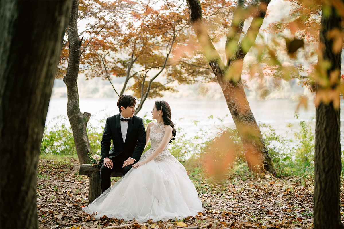 Korea Nami Island Romantic Autumn Pre-Wedding Photoshoot by Jungyeol on OneThreeOneFour 2