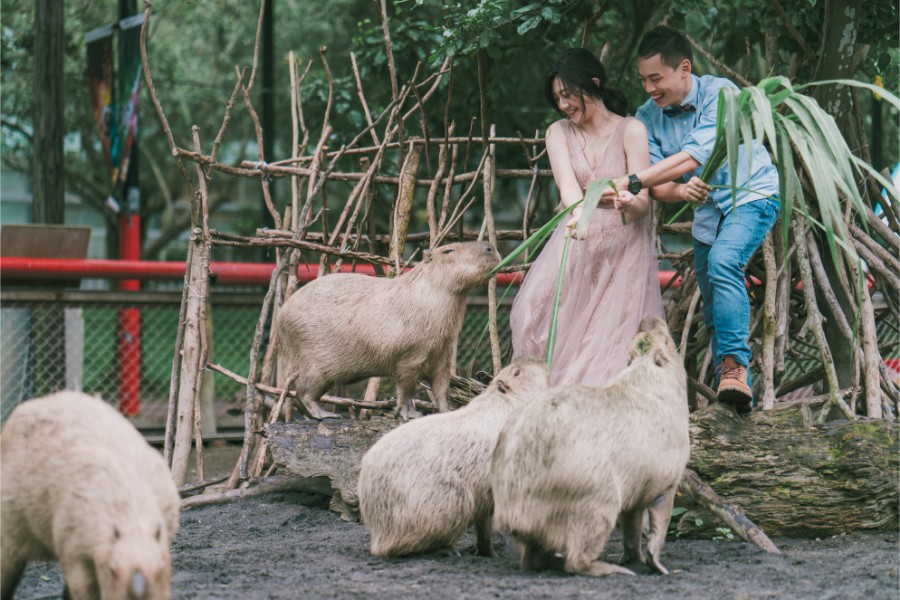 Taiwan Tainan Zoo Qi Gu Salt Mountain Prewedding Photoshoot by Star on OneThreeOneFour 1