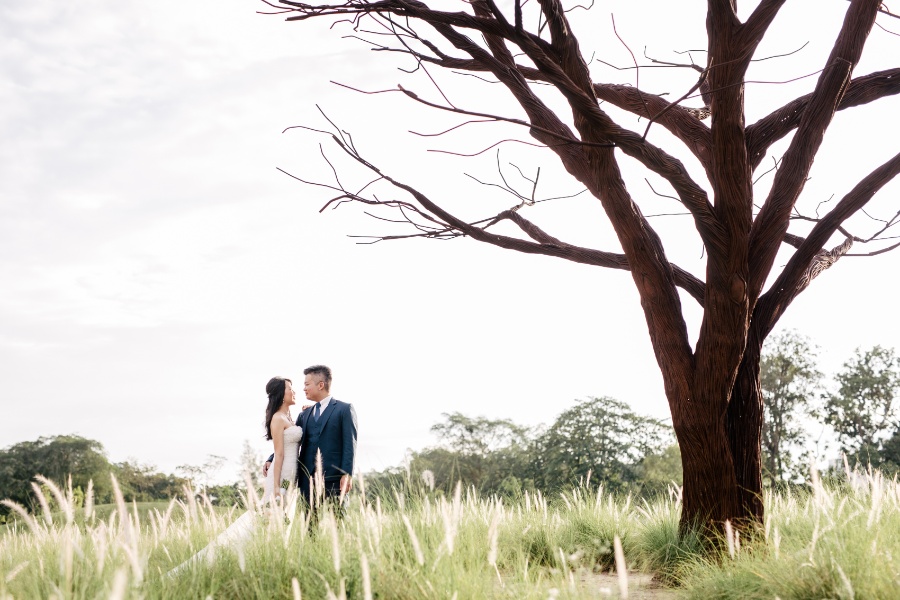 L&Y: Singapore Pre-wedding Photoshoot at Jurong Lake Gardens, Colonial Houses, and IKEA by Cheng on OneThreeOneFour 7
