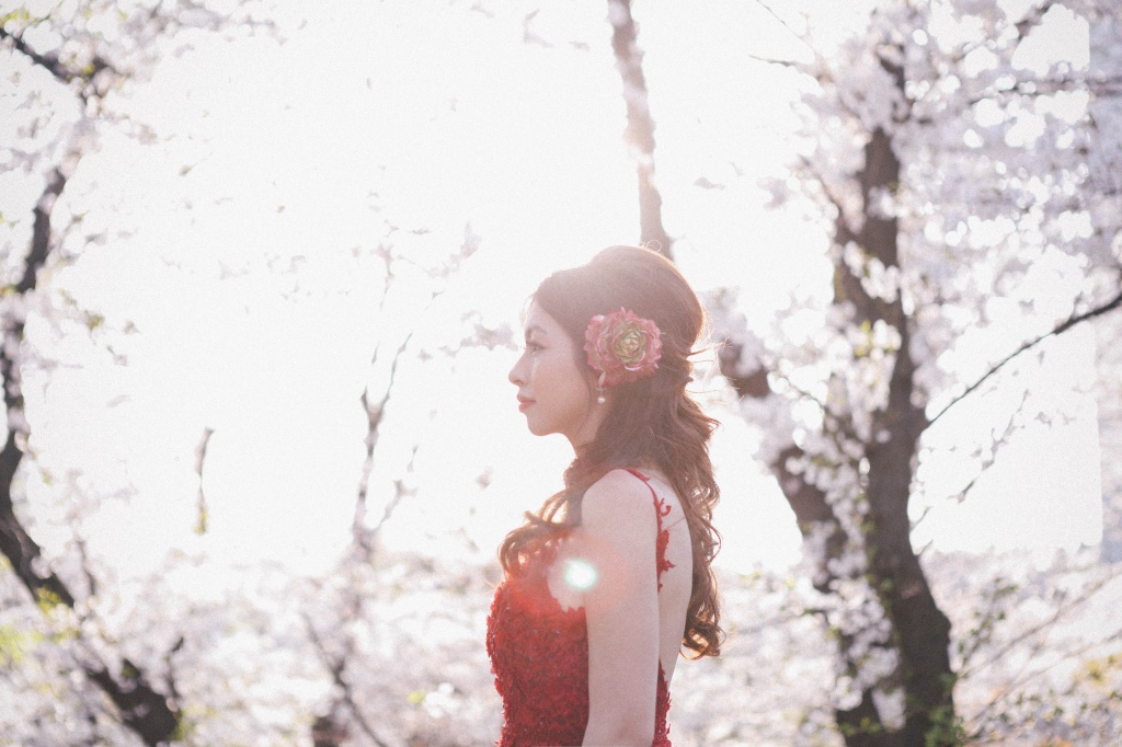 Korea Cherry Blossom Pre-Wedding Photoshoot At Seoul Forest  by Beomsoo on OneThreeOneFour 19