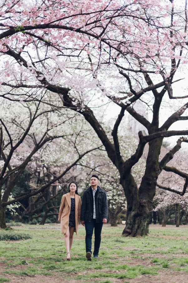 V&A: Cherry Blossom Proposal Photoshoot in Tokyo by Lenham on OneThreeOneFour 9