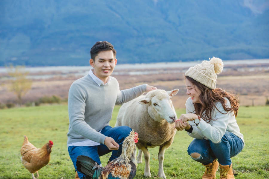 New Zealand Pre-Wedding Photoshoot At Coromandel Peak, Arrowtown And Alpaca Farm by Fei on OneThreeOneFour 39
