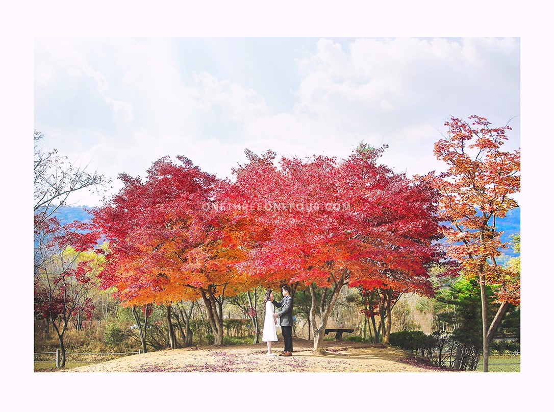 Korean Outdoor Autumn Date Snap by ePhoto Essay Studio on OneThreeOneFour 0