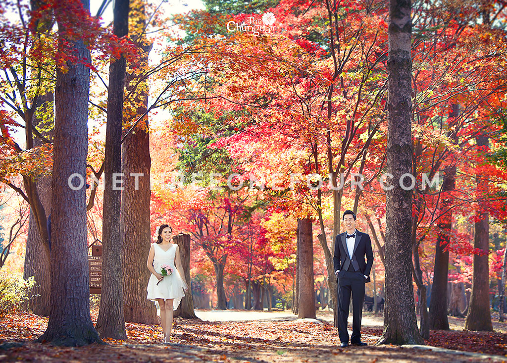 [AUTUMN] Seoul Forest Autumn Outdoor Shoot by Chungdam Studio on OneThreeOneFour 4