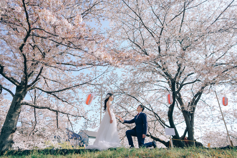 J&A: Kyoto Sakura Season Pre-wedding Photoshoot  by Kinosaki on OneThreeOneFour 26