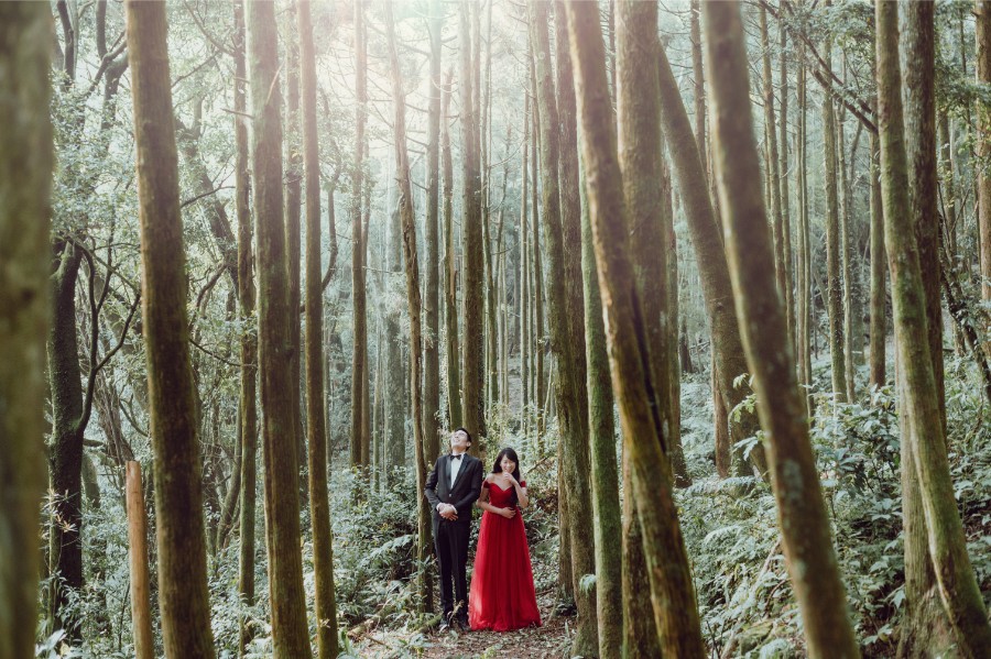 台灣婚紗拍攝 - 森林與海灘 by Doukou on OneThreeOneFour 29