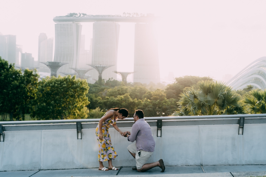 Singapore Surprise Wedding Proposal Photoshoot At Marina Barrage With Singapore Flyer by Michael on OneThreeOneFour 2