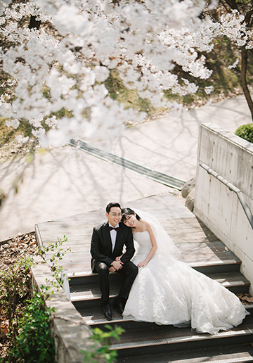 Celebrate Love in Full Bloom: Seoul Spring Pre-Wedding Photoshoot Experience