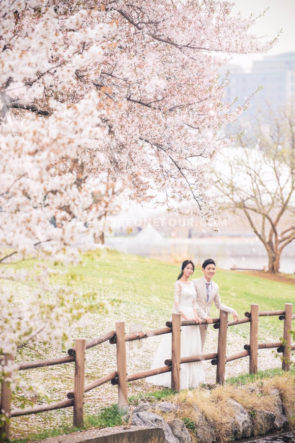 The Face Studio Cherry Blossoms Sample - Korean Studio Prewedding by The Face Studio on OneThreeOneFour 10