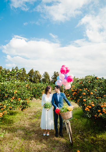 Korea Jeju Island Outdoor Pre-Wedding Photoshoot At Tangerine Farm 