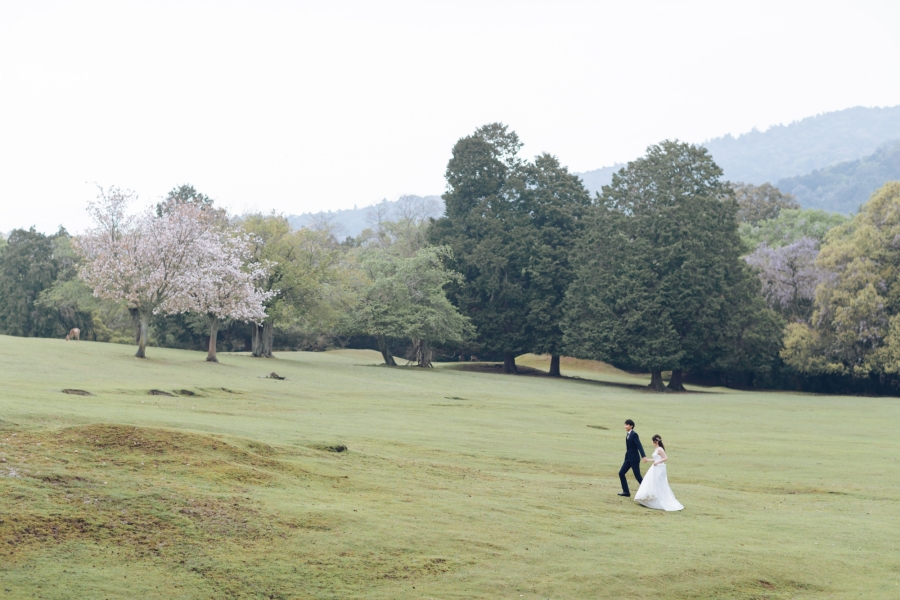 Blooms of Love: Aylsworth & Michele's Kyoto and Nara Spring Engagement by Kinosaki on OneThreeOneFour 18