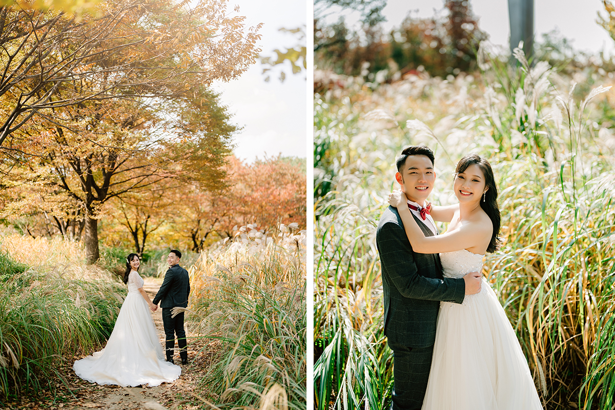 Yellow Gingko Autumn Pre-Wedding in Korea - Seoul Forest, Namsamgol Hanok Village & Samcheong-dong Cafe Street by Jungyeol on OneThreeOneFour 11