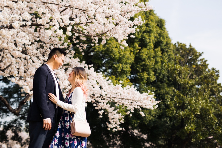 Japan Tokyo Surprise Proposal Photoshoot At Shinjuku Gyoen During Cherry Blossom Season by Koki on OneThreeOneFour 7