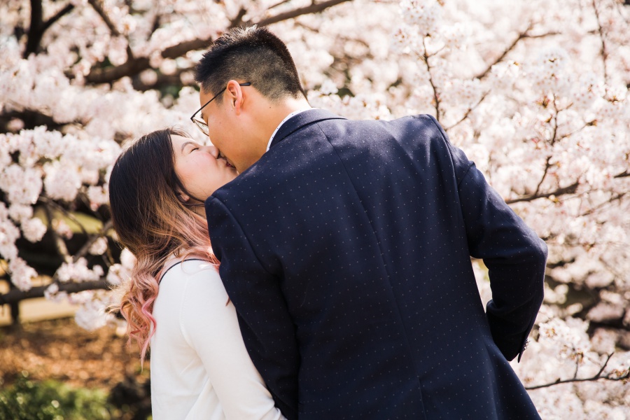 Japan Tokyo Surprise Proposal Photoshoot At Shinjuku Gyoen During Cherry Blossom Season by Koki on OneThreeOneFour 6