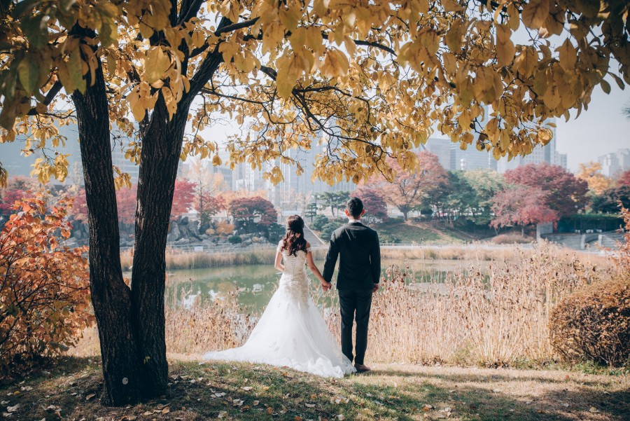 C&S: Korea Autumn Pre-Wedding at Hanuel Park with Pink Muhly Grass by Jongjin on OneThreeOneFour 2