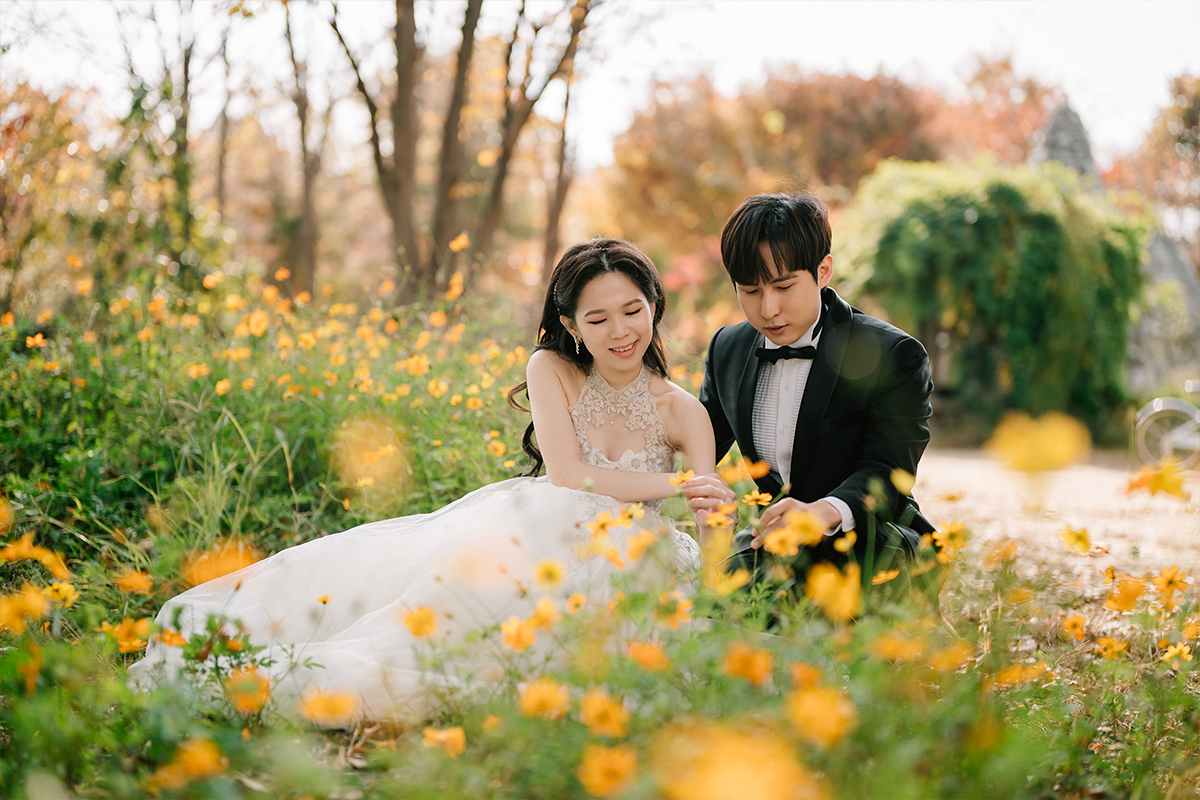 Korea Nami Island Romantic Autumn Pre-Wedding Photoshoot by Jungyeol on OneThreeOneFour 9