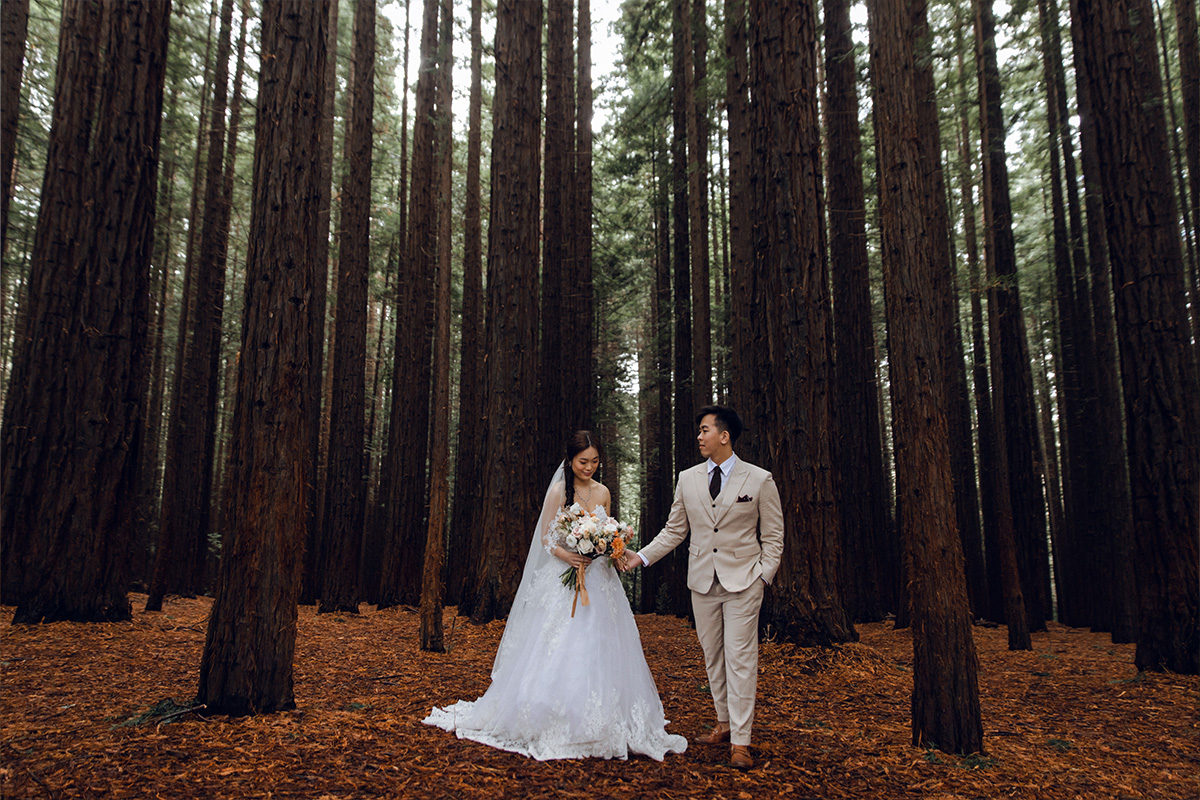 Australia Melbourne Pre-Wedding Autumn Photoshoot at Redwood Forest, Winery and Half Moon Bay by Freddie on OneThreeOneFour 0