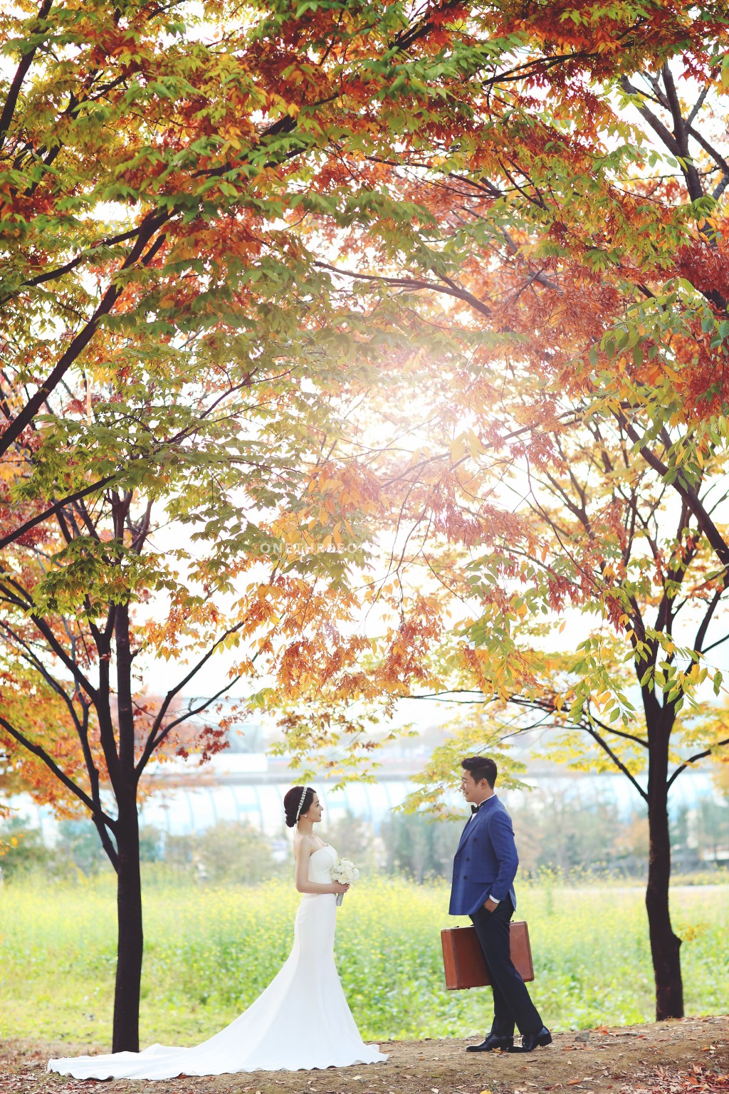Studio Bong Korea Autumn Outdoor Pre-Wedding Photography - Past Clients by Bong Studio on OneThreeOneFour 16