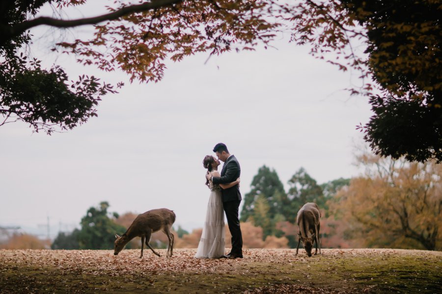 秋季奈良公園和衹園日本京都婚紗拍攝 by Kinosaki on OneThreeOneFour 26