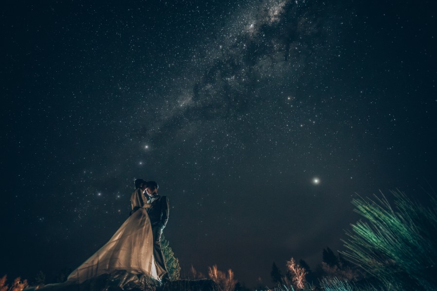 S&D: New Zealand Spring Pre-wedding Photoshoot with Alpacas and Milky Way by Xing on OneThreeOneFour 12