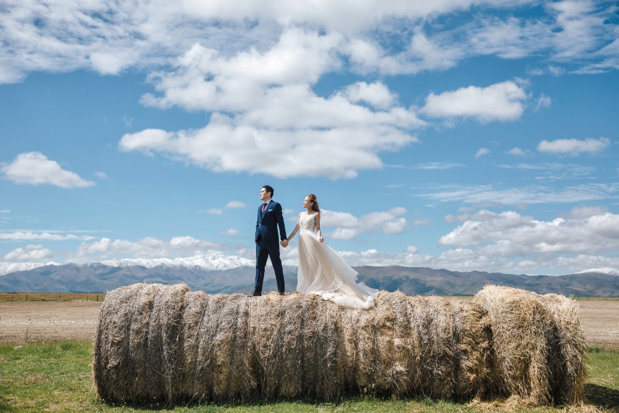 R&M: New Zealand Summer Pre-wedding Photoshoot with Yellow Lupins by Fei on OneThreeOneFour 14