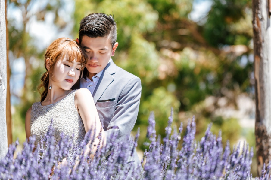 New Zealand Proposal And Pre-Wedding At Twin Peaks And Lavender Field  by Felix  on OneThreeOneFour 16