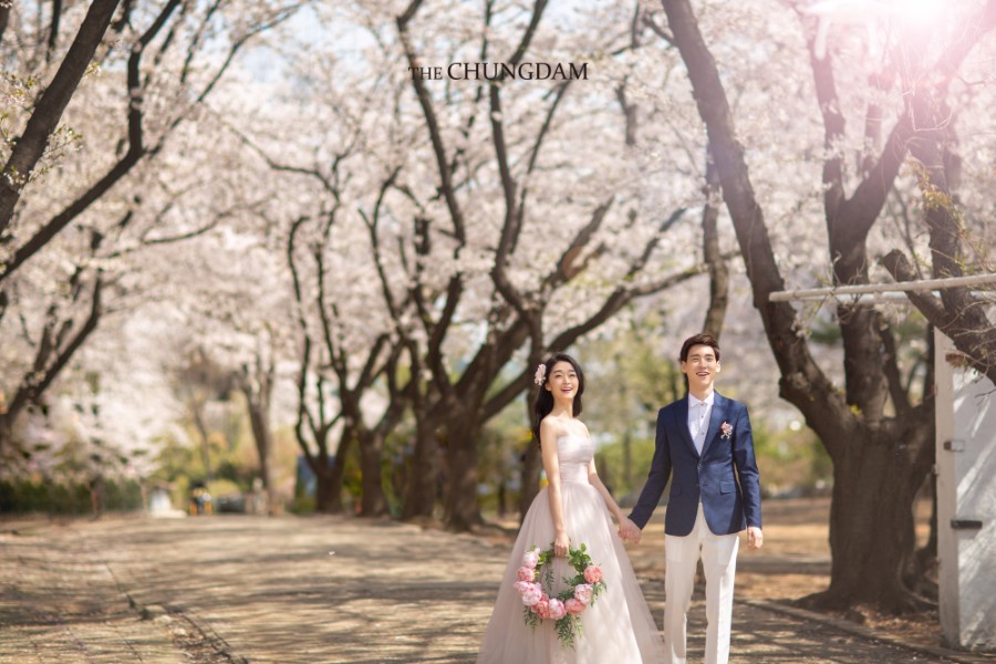 Chungdam Studio Cherry Blossoms Sample - Korean Pre-Wedding Studio by Chungdam Studio on OneThreeOneFour 12