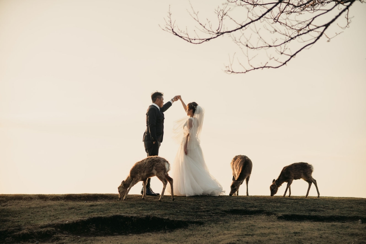 Kyoto Pre-Wedding Photoshoot with Eikando Temple, Kinosaki, Nara Deer Park & Mt. Wakakusa by Kinosaki on OneThreeOneFour 22