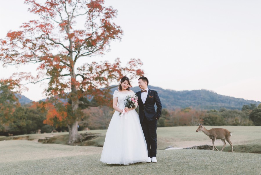 E&L: Kyoto Pre-wedding Photoshoot at Nara Park and Gion District by Jia Xin on OneThreeOneFour 19