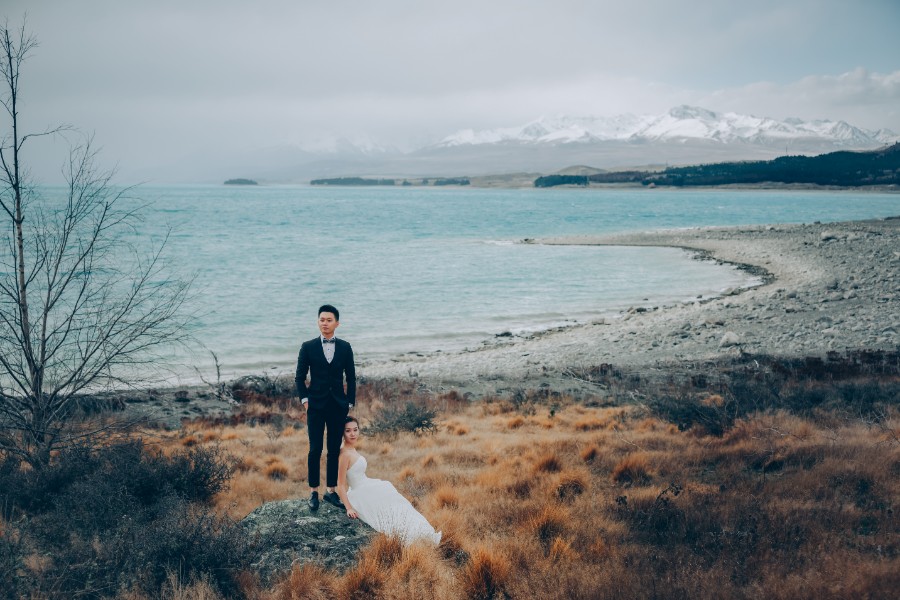 S&D: New Zealand Spring Pre-wedding Photoshoot with Alpacas and Milky Way by Xing on OneThreeOneFour 28