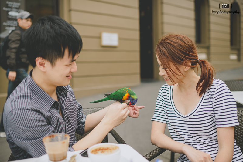 Pre-Wedding Session at Sydney | Perth Wedding Photographer by iZO Photography on OneThreeOneFour 20