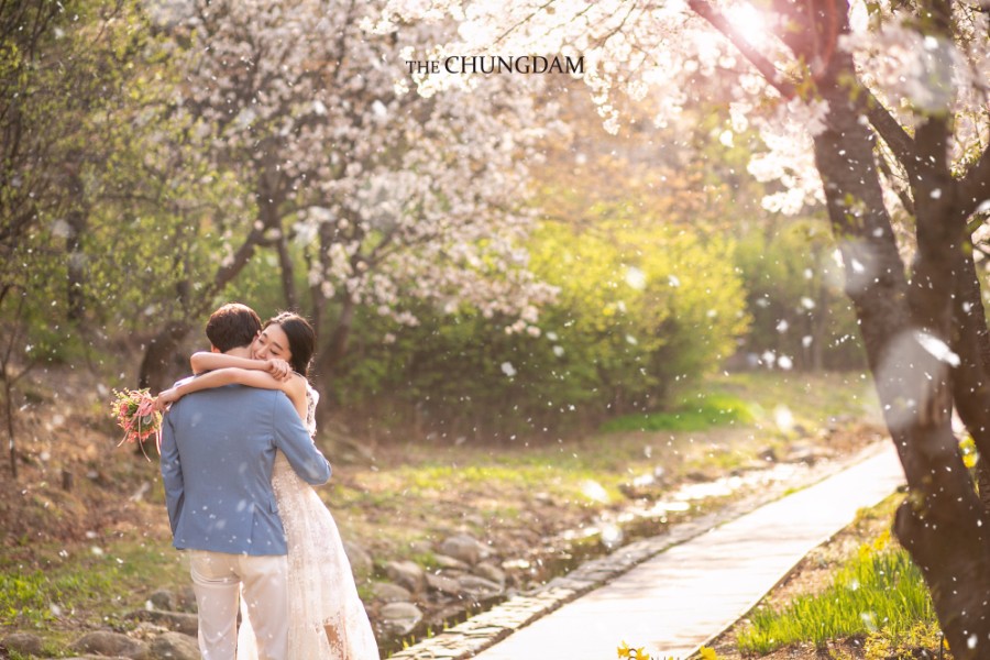 Chungdam Studio Cherry Blossoms Sample - Korean Pre-Wedding Studio by Chungdam Studio on OneThreeOneFour 13