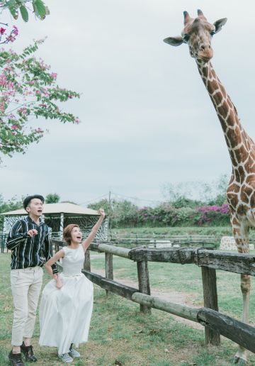 Taiwan Outdoor Pre-Wedding Photoshoot At Tainan Zoo 