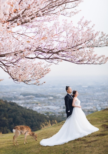 Spring Symphony: Xian Xiong & Samantha's Enchanting Pre-Wedding in Kyoto & Nara