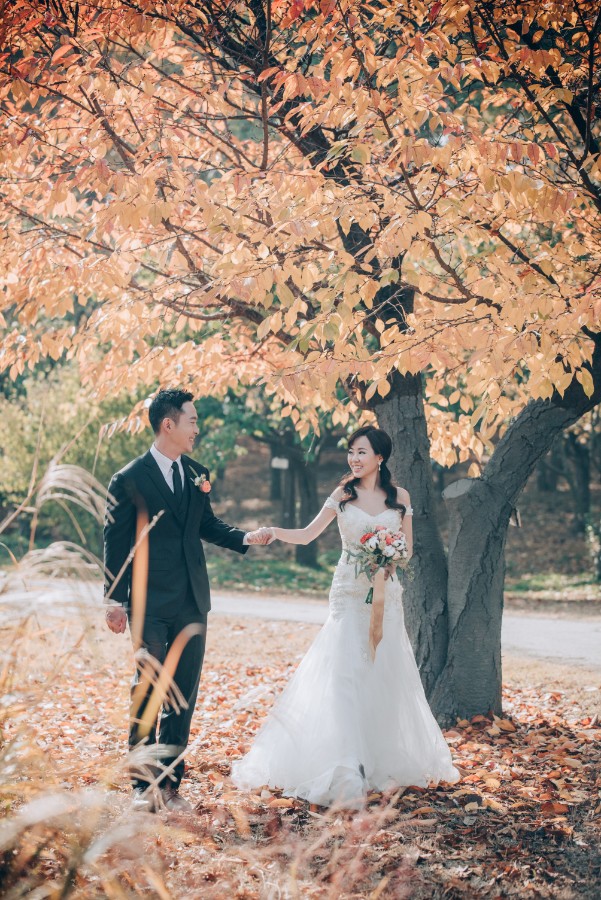 C&S: Korea Autumn Pre-Wedding at Hanuel Park with Pink Muhly Grass by Jongjin on OneThreeOneFour 0