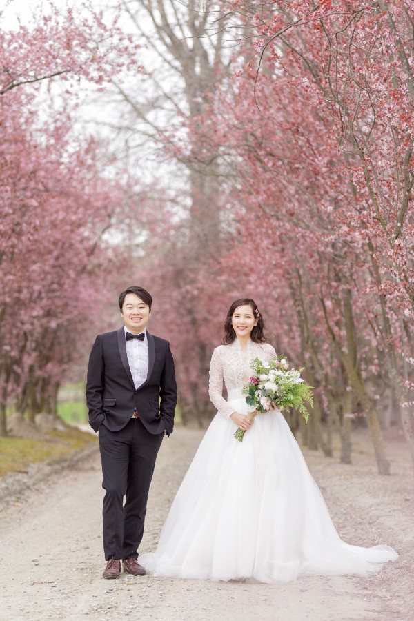 W&J: Pre-wedding in Spring with cherry blossom and snow by Fei on OneThreeOneFour 4